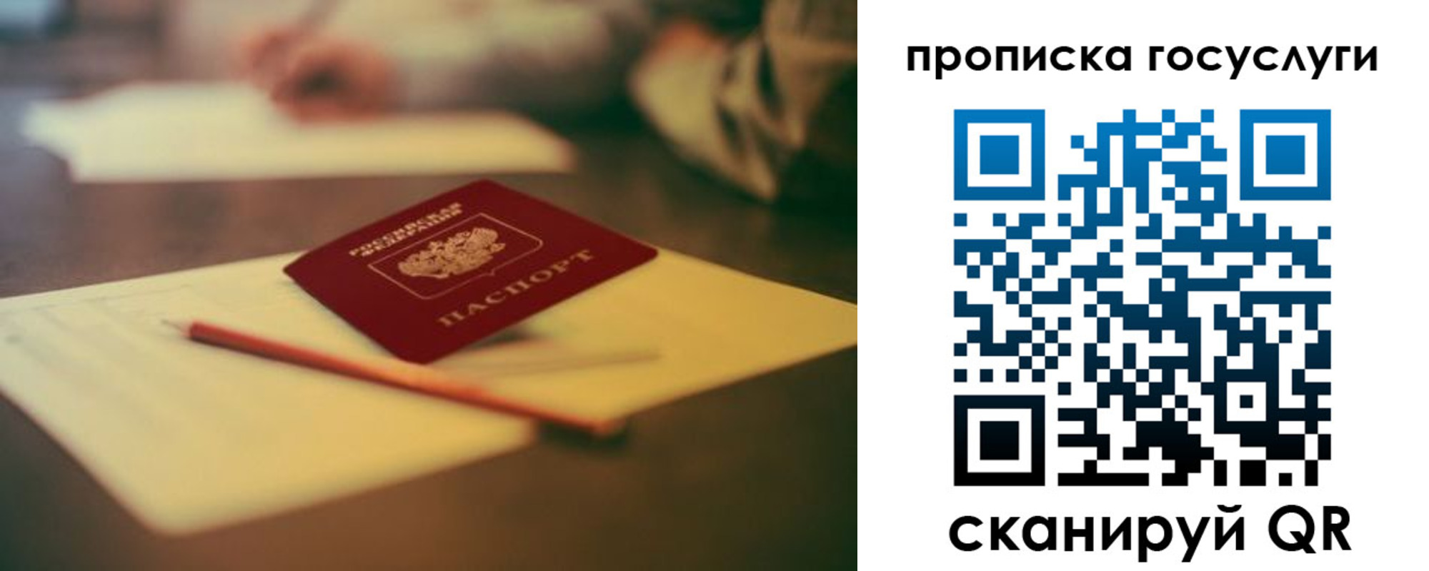 прописка для школы в Тверской области